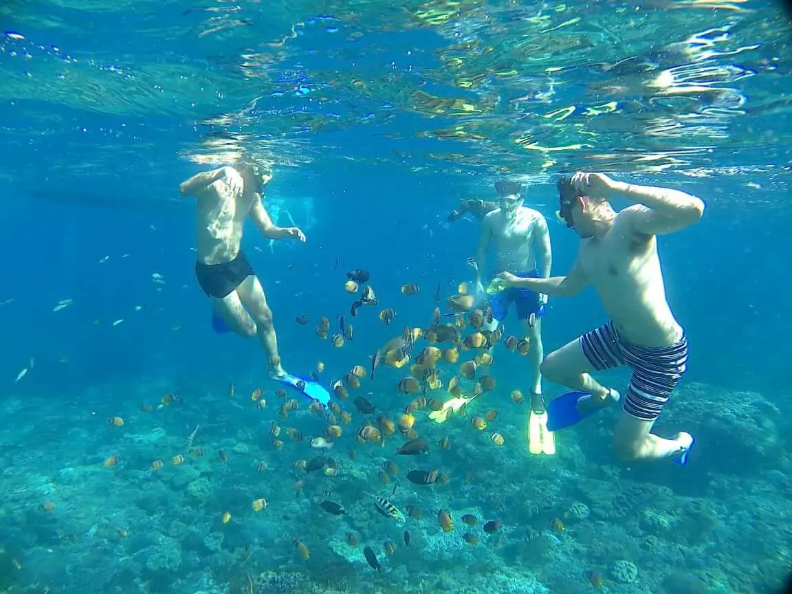 nusa penida snorkeling only