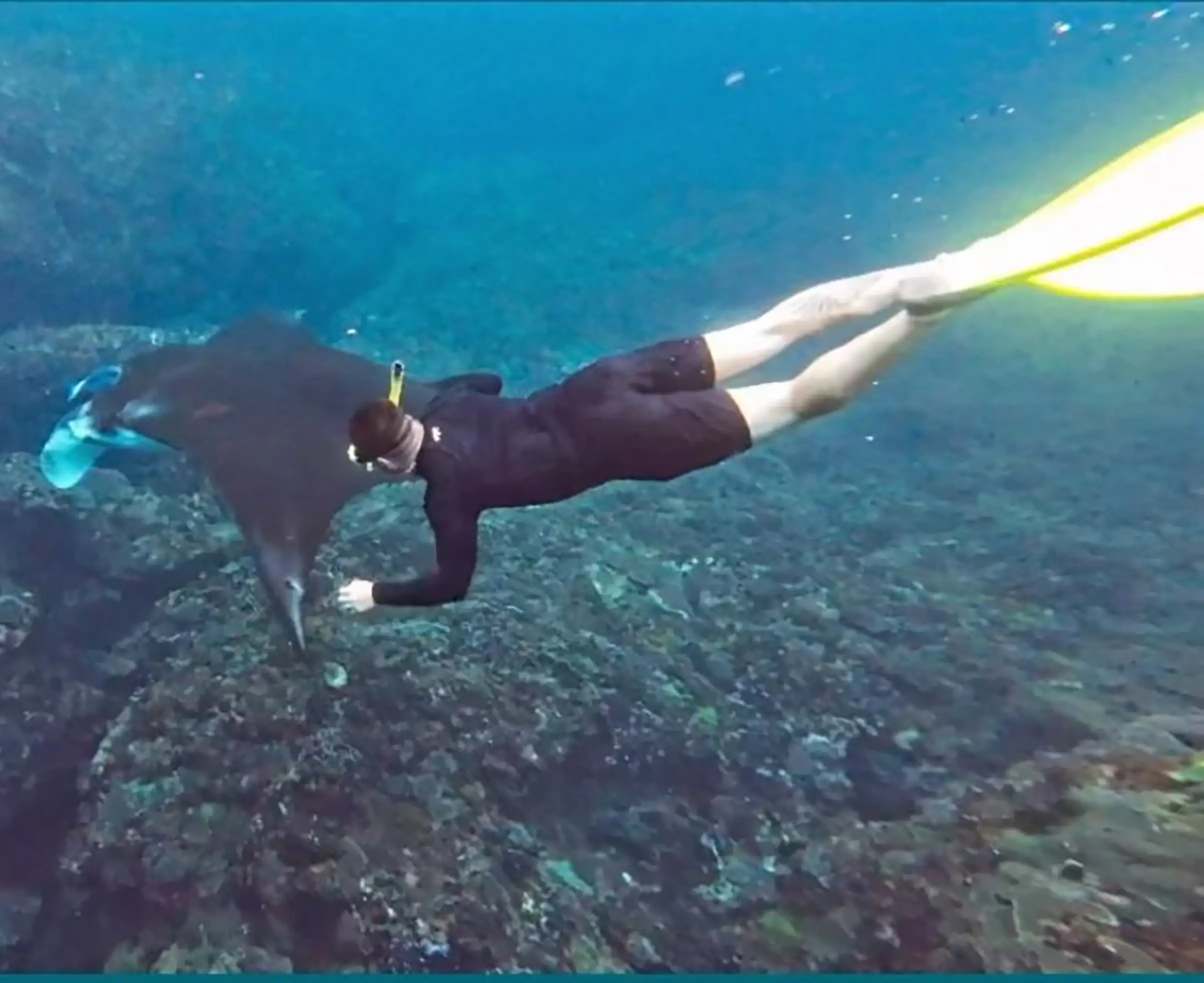 Nusa Penida Hanya Sharing Snorkeling